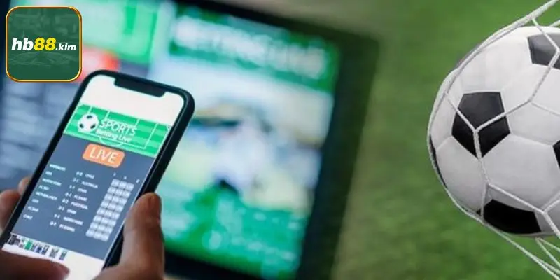 Hoạt động cá độ một cách dễ dàng 